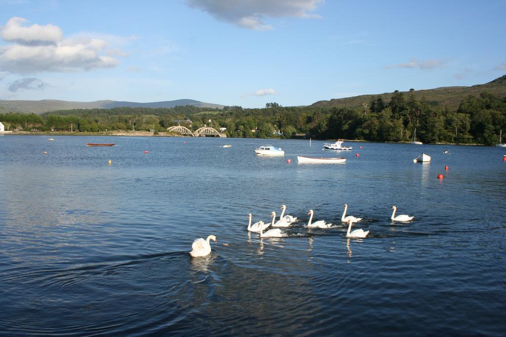 Riverlodge Self Catering Kenmare Chambre photo